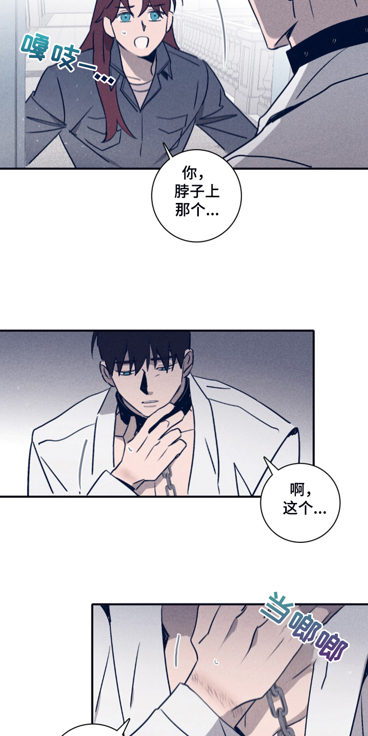 《失踪案件》第102章【第二季】我想留下 第2页