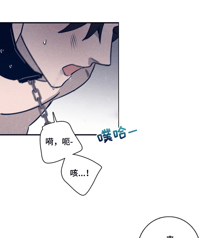 《失踪案件》第98章【第二季】加大剂量 第12页