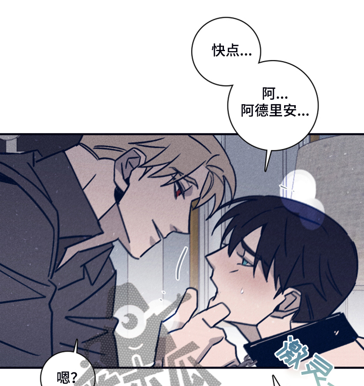 《失踪案件》第98章【第二季】加大剂量 第15页