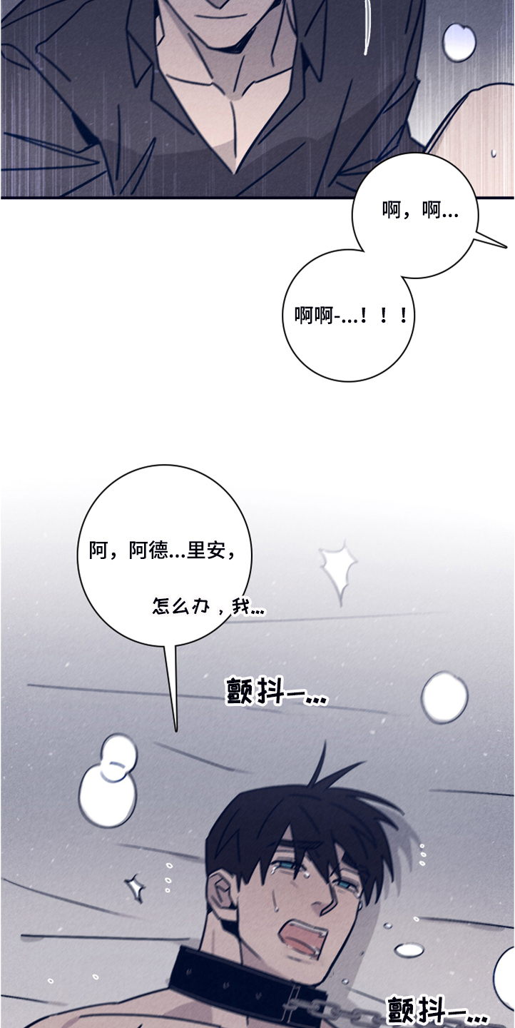 《失踪案件》第99章【第二季】看来是对的 第15页
