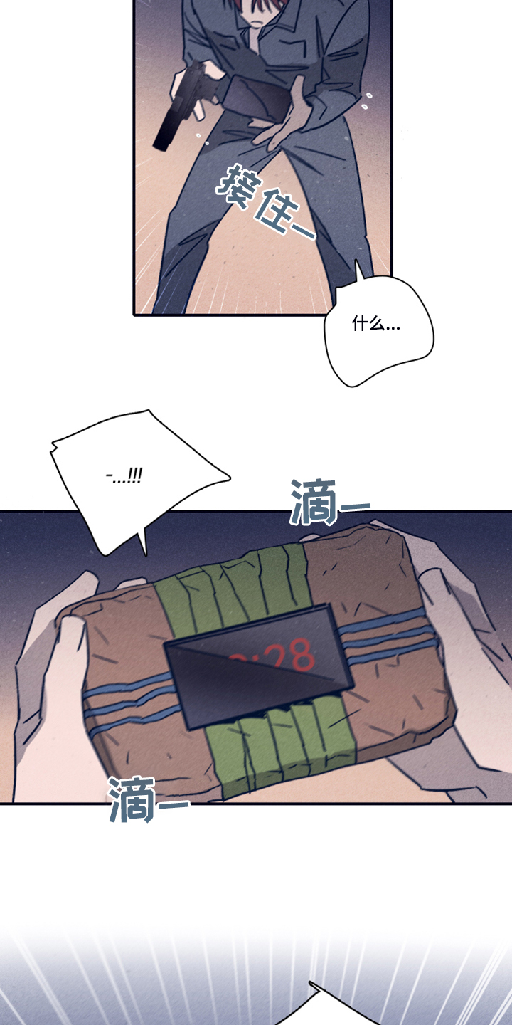 《失踪案件》第95章【第二季】借助混乱脱身 第9页
