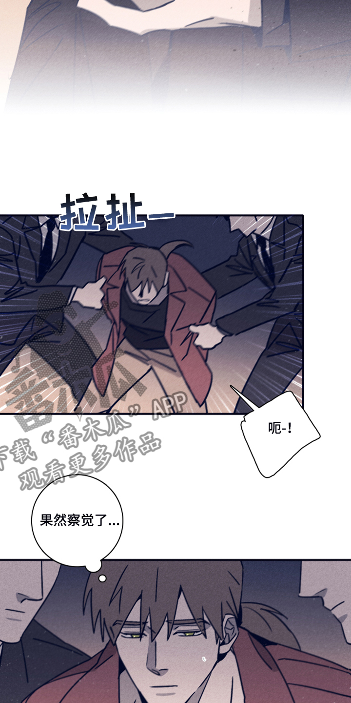 《失踪案件》第93章【第二季】这个… 第10页