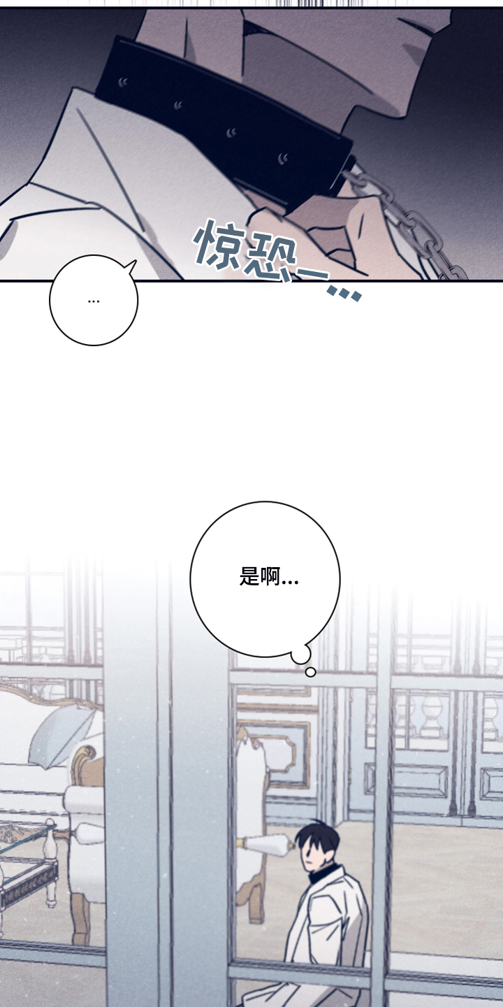 《失踪案件》第91章【第二季】希望你能理解 第16页