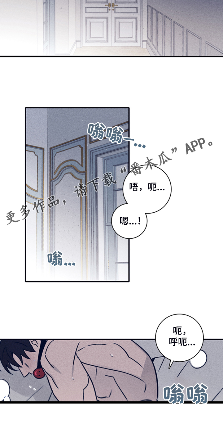 《失踪案件》第87章【第二季】你是谁的 第17页