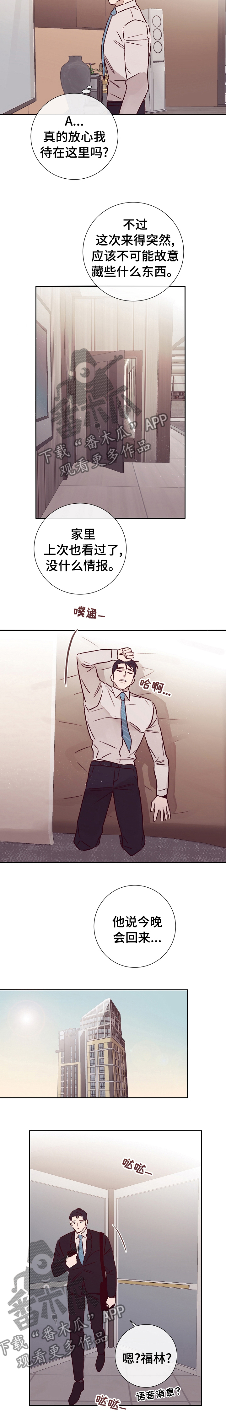 《失踪案件》第50章上岛 第11页