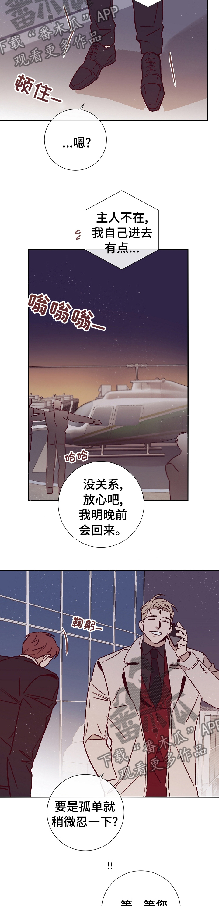 《失踪案件》第50章上岛 第2页