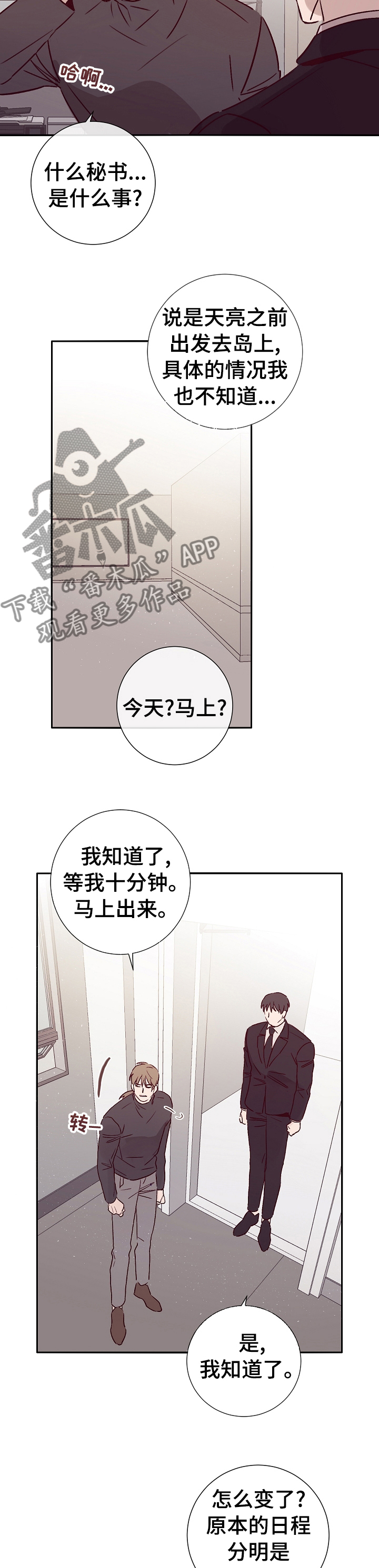 《失踪案件》第50章上岛 第8页