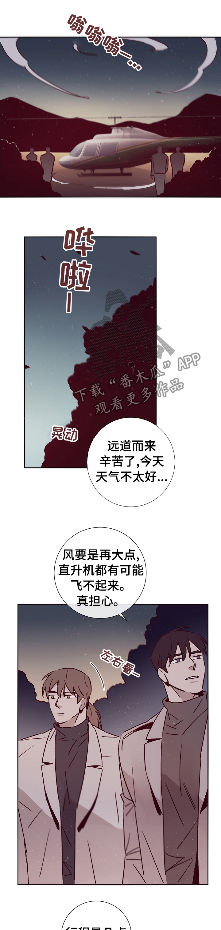 《失踪案件》第51章决定 第3页