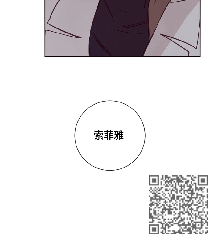 《失踪案件》第20章看望 第15页