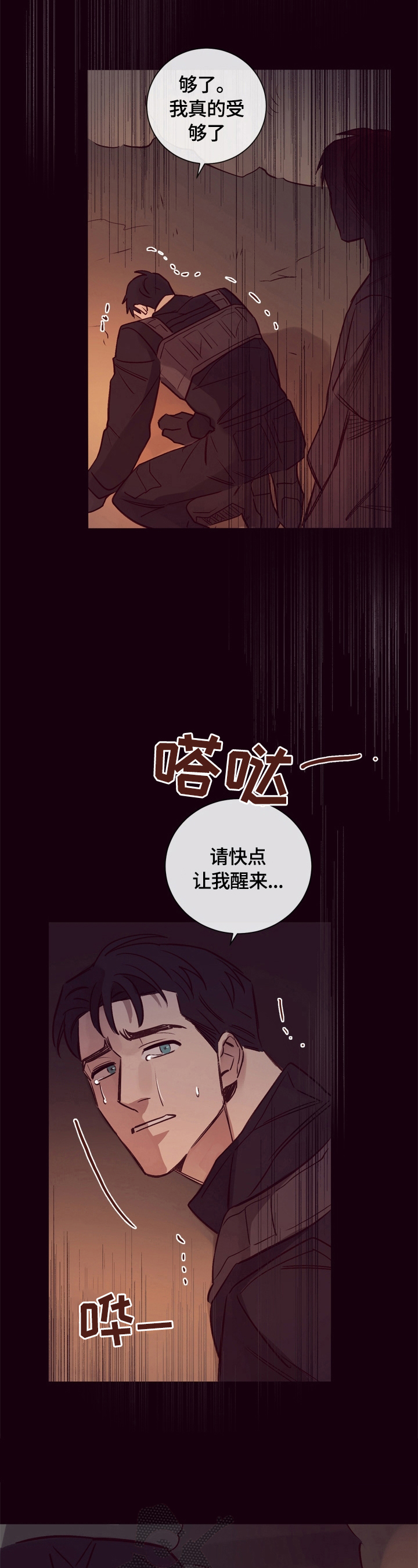 《失踪案件》第20章看望 第2页