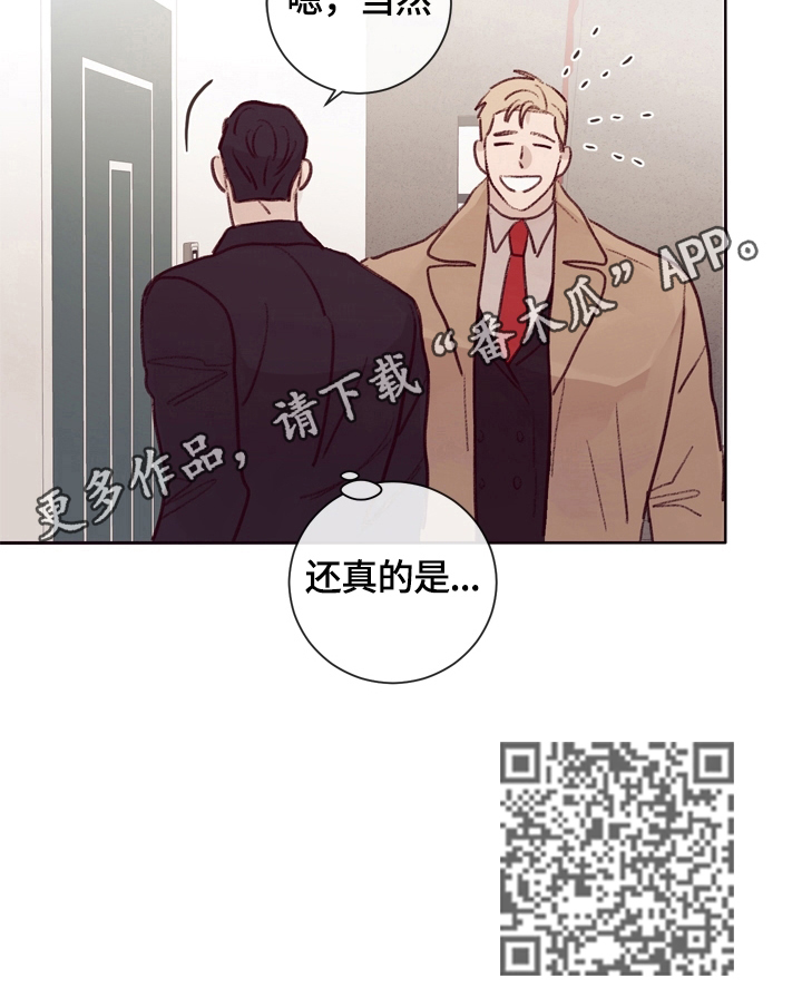 《失踪案件》第16章邀请 第13页