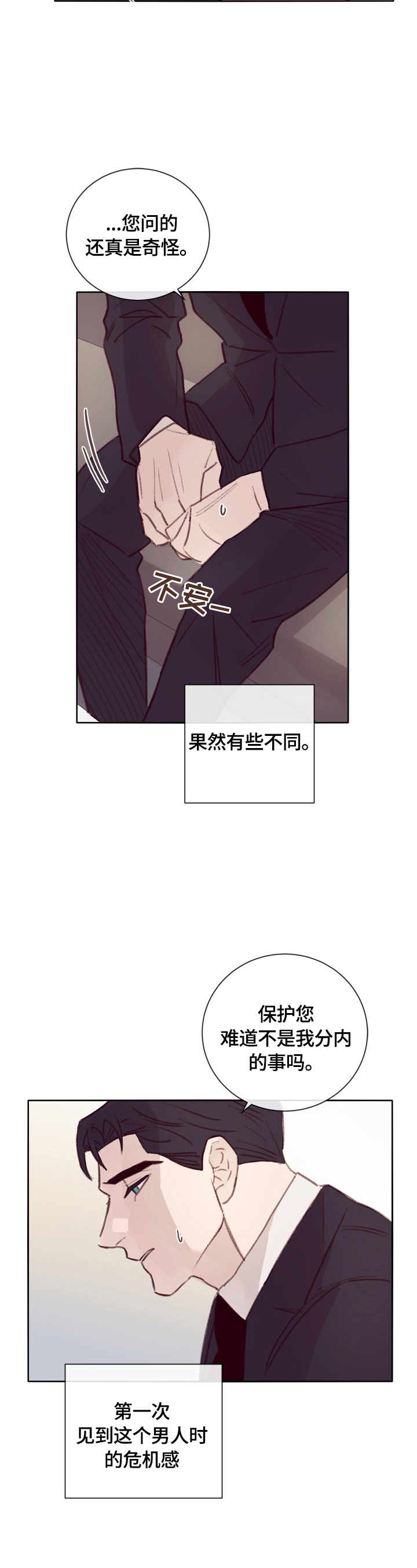 《失踪案件》第13章私人保镖 第10页