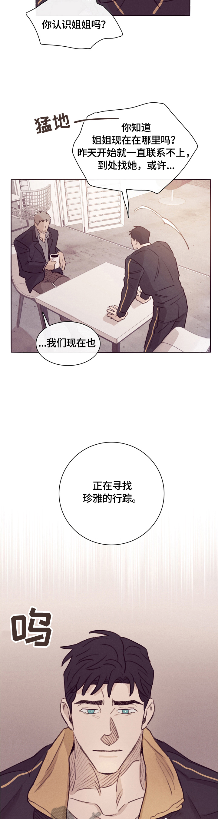 《失踪案件》第2章解释 第10页