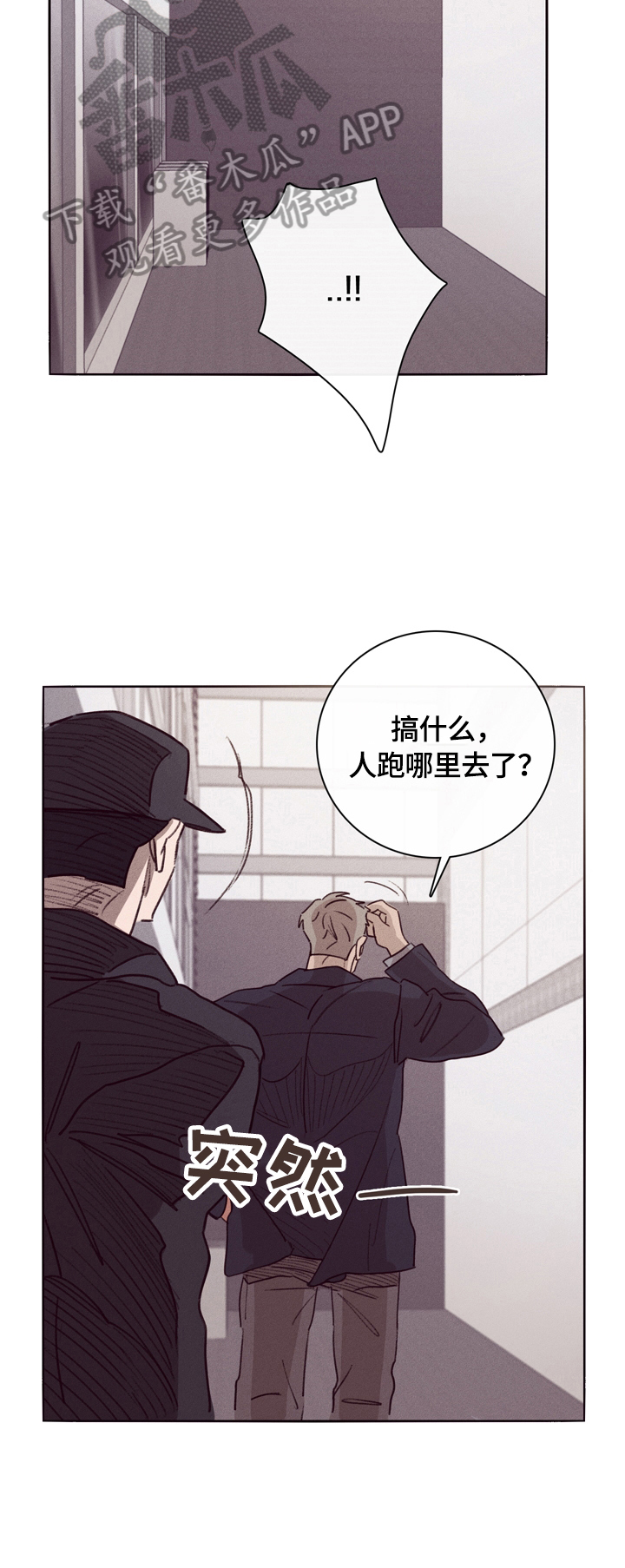 《失踪案件》第2章解释 第5页