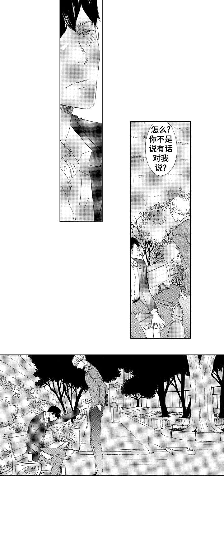 《二次相恋》第14章吻 第8页