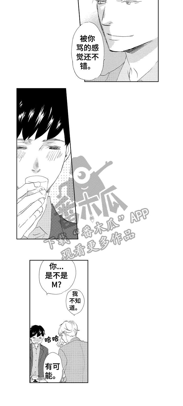 《二次相恋》第10章喜欢 第10页