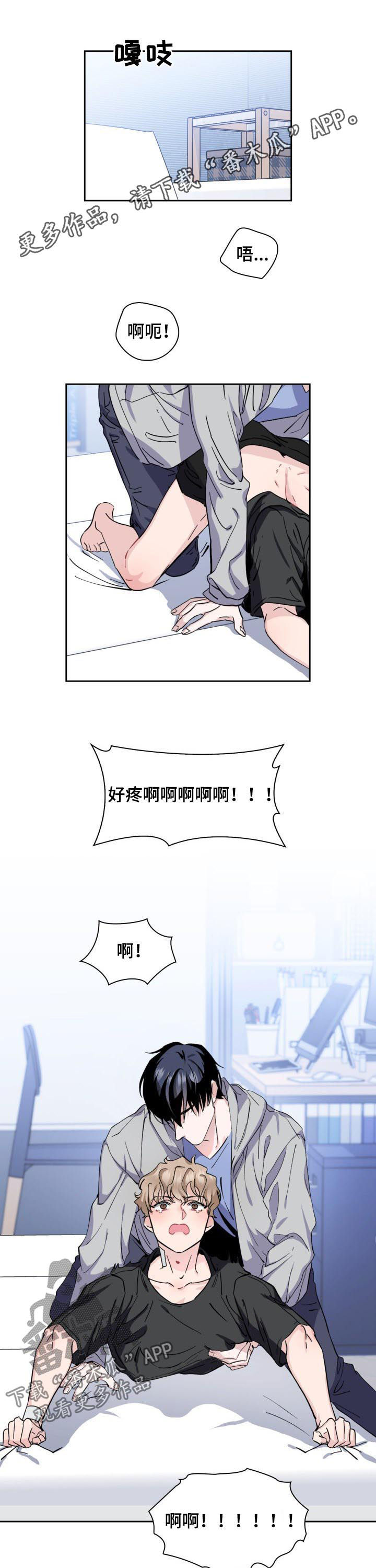 《欧米伽盒子》第48章【外传】猫和小鱼干 第1页