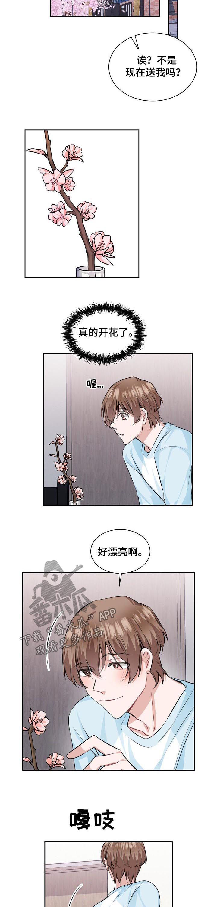 《欧米伽盒子》第35章你愿意继续吗 第3页