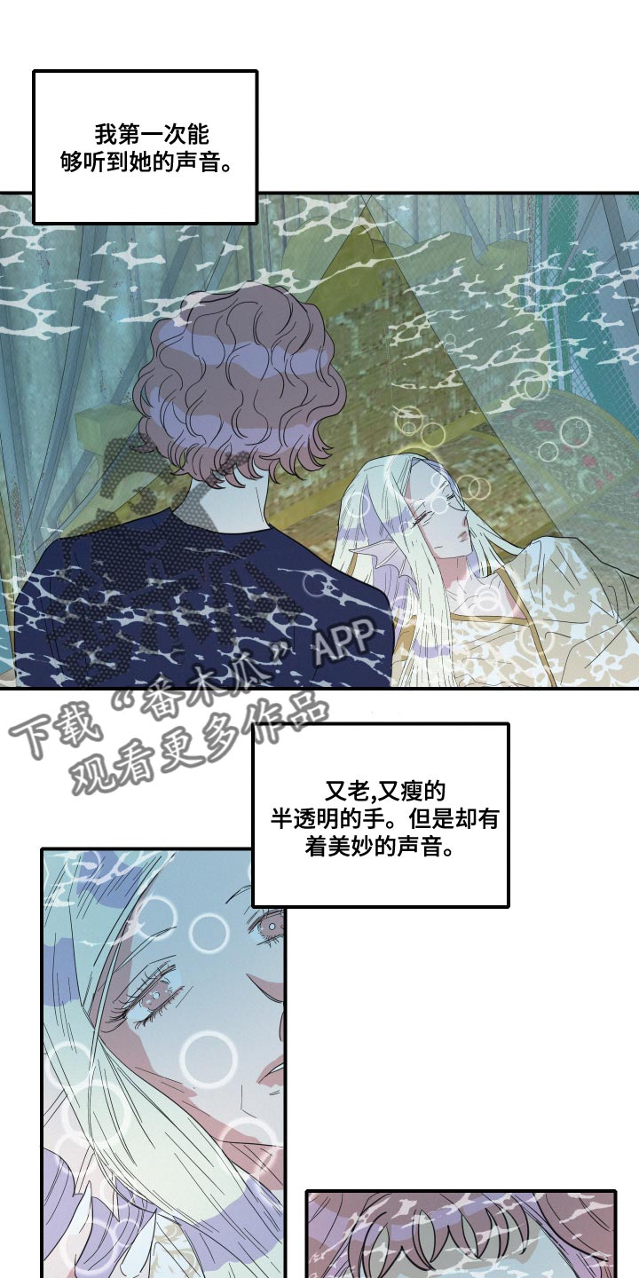 《人鱼海》第51章第一次约会（第一季完结） 第1页