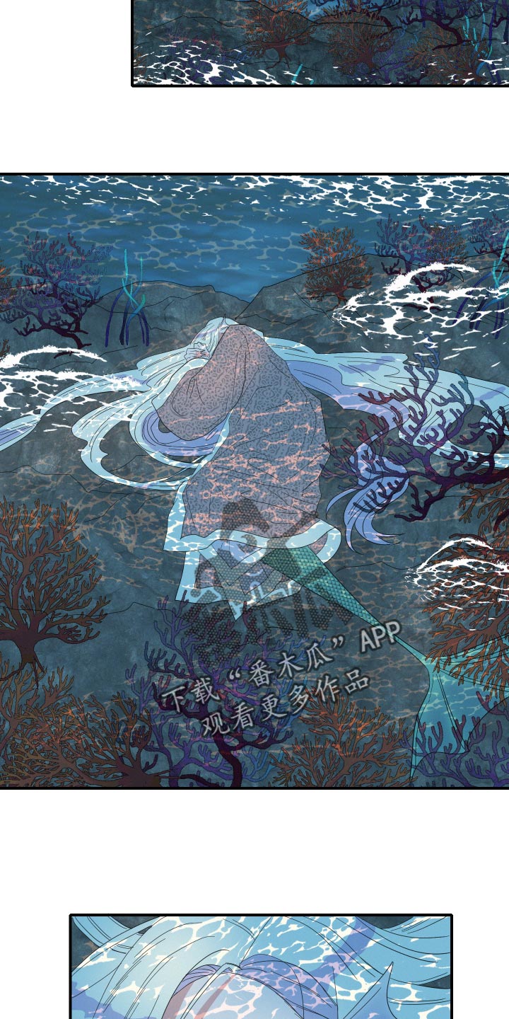 《人鱼海》第48章月神降临 第5页