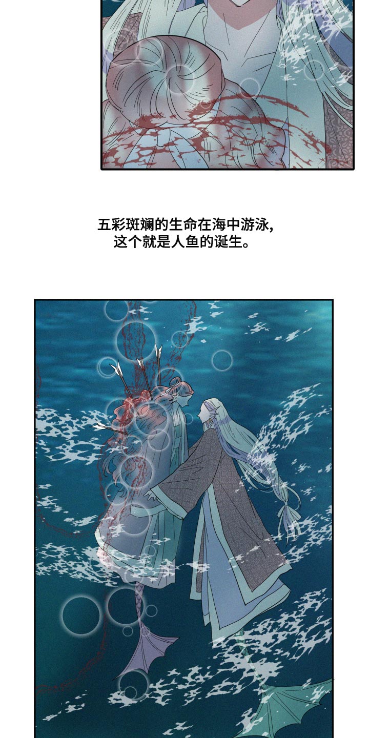 《人鱼海》第47章泡沫 第13页