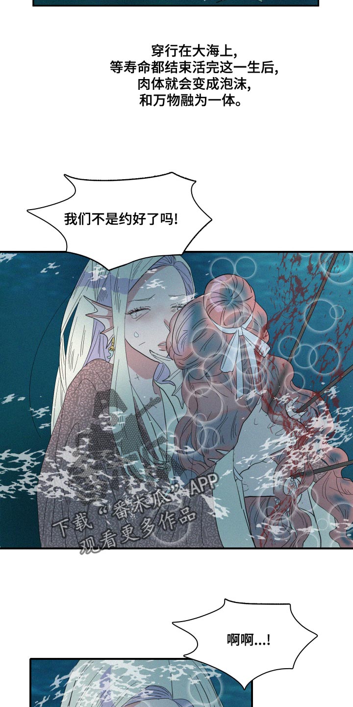 《人鱼海》第47章泡沫 第14页