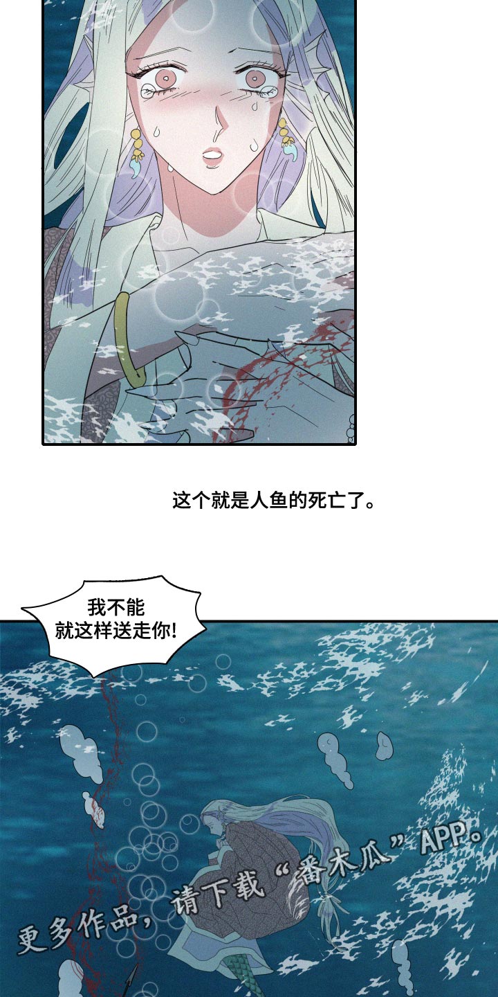 《人鱼海》第47章泡沫 第15页