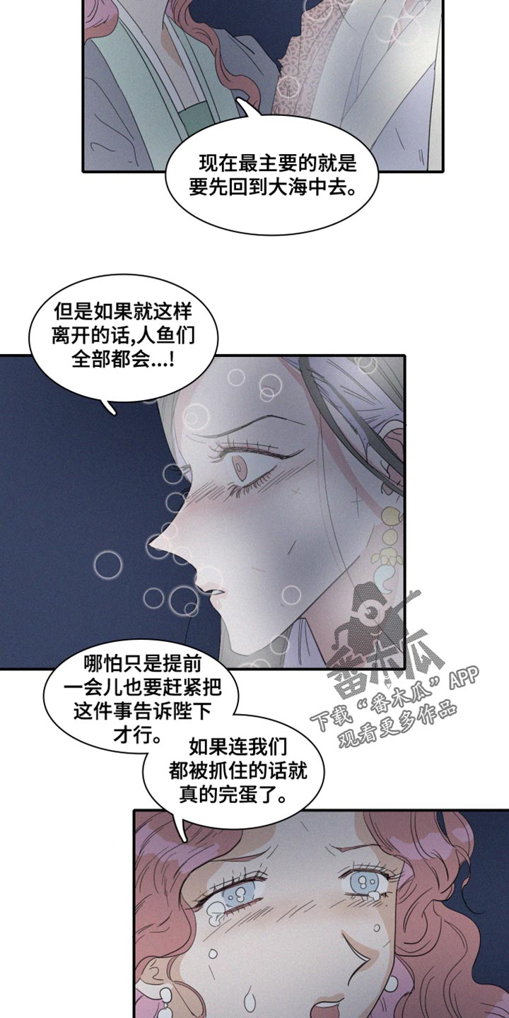 《人鱼海》第45章欺骗 第14页