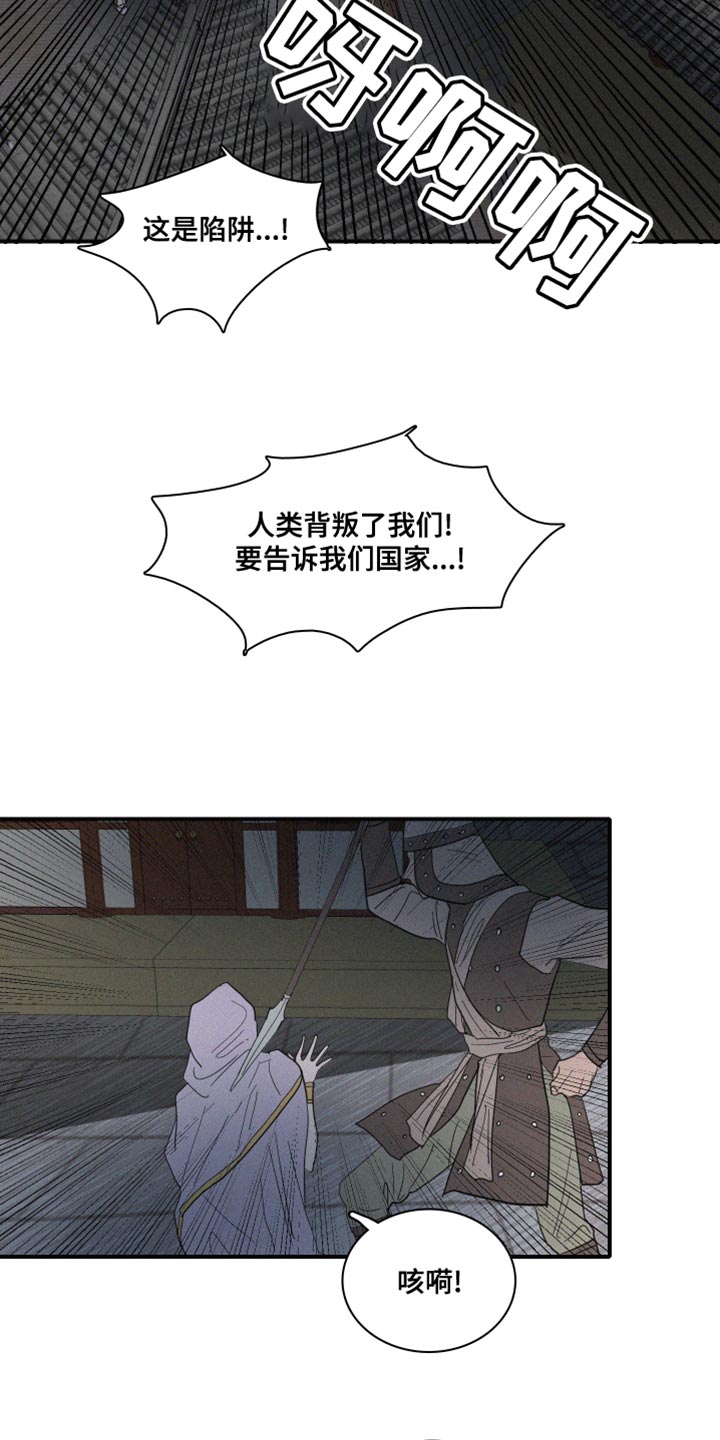 《人鱼海》第43章平安无事才行 第13页