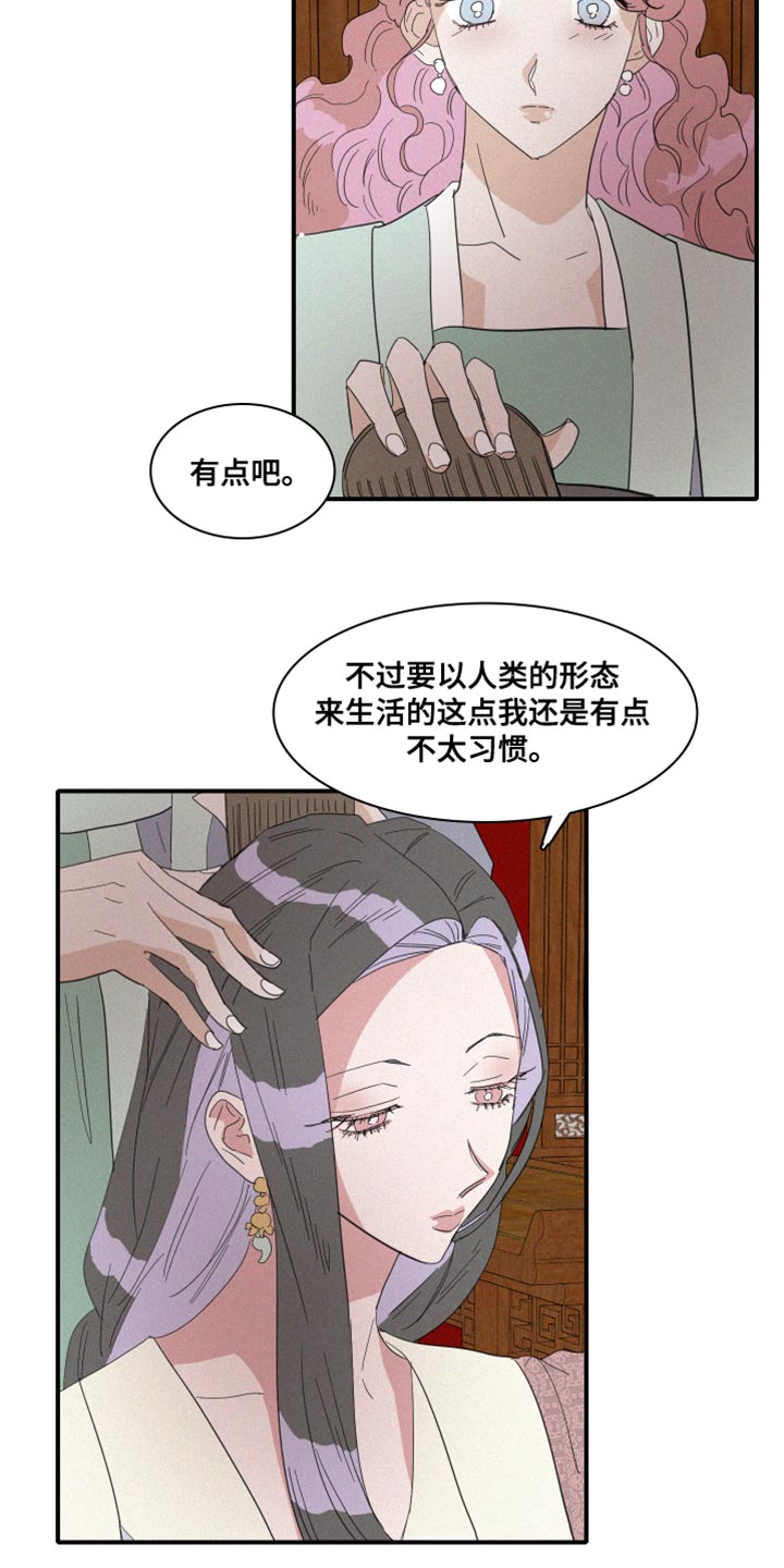 《人鱼海》第42章冷血无情 第2页