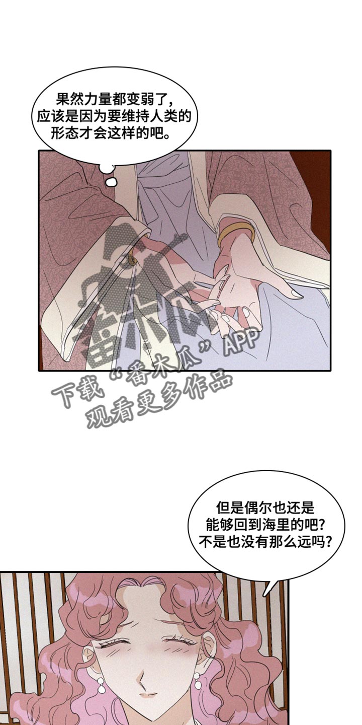 《人鱼海》第42章冷血无情 第3页