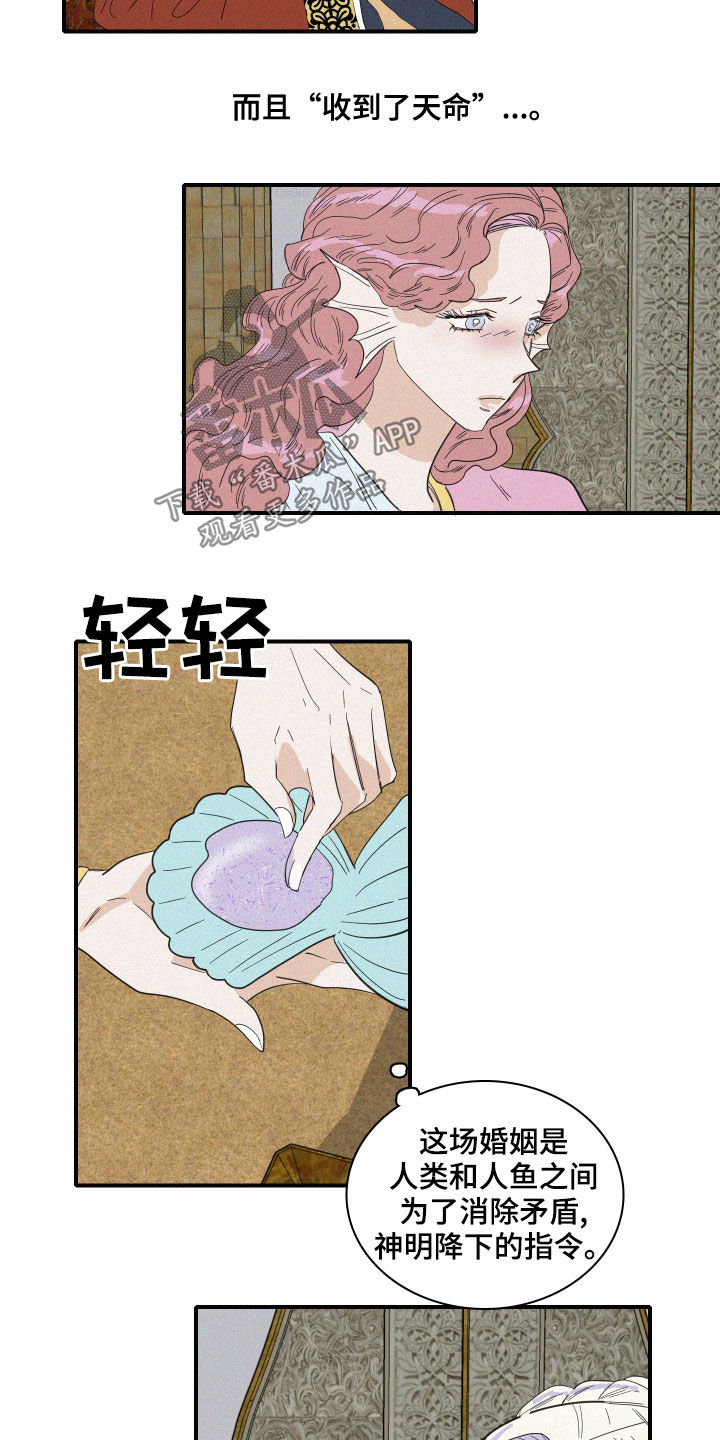 《人鱼海》第40章婚礼 第10页