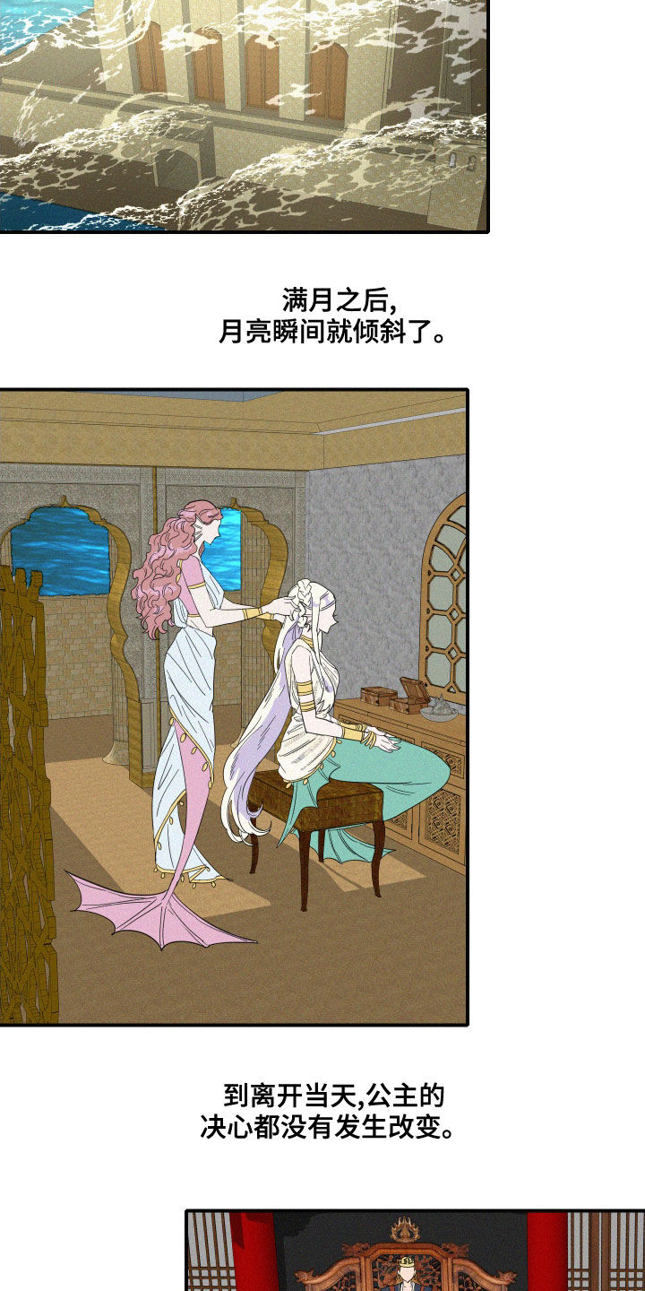 《人鱼海》第40章婚礼 第8页