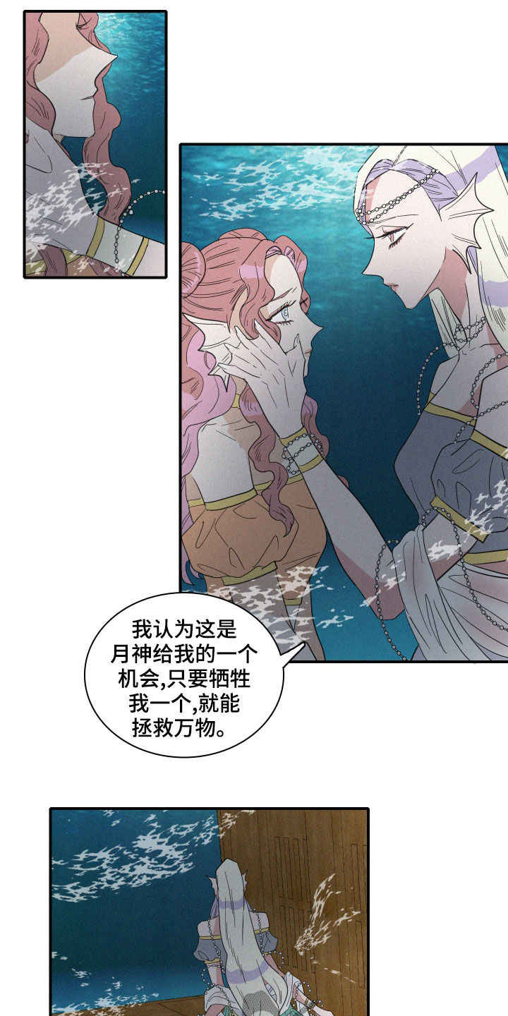 《人鱼海》第38章神谕 第14页