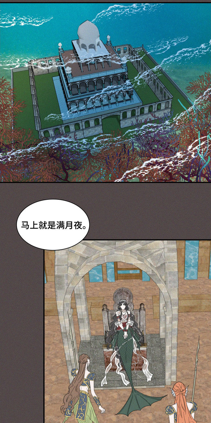 《人鱼海》第35章魔女 第17页
