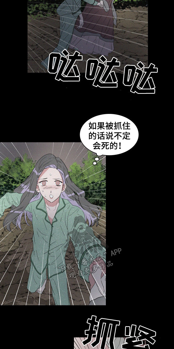 《人鱼海》第22章温暖的人 第4页
