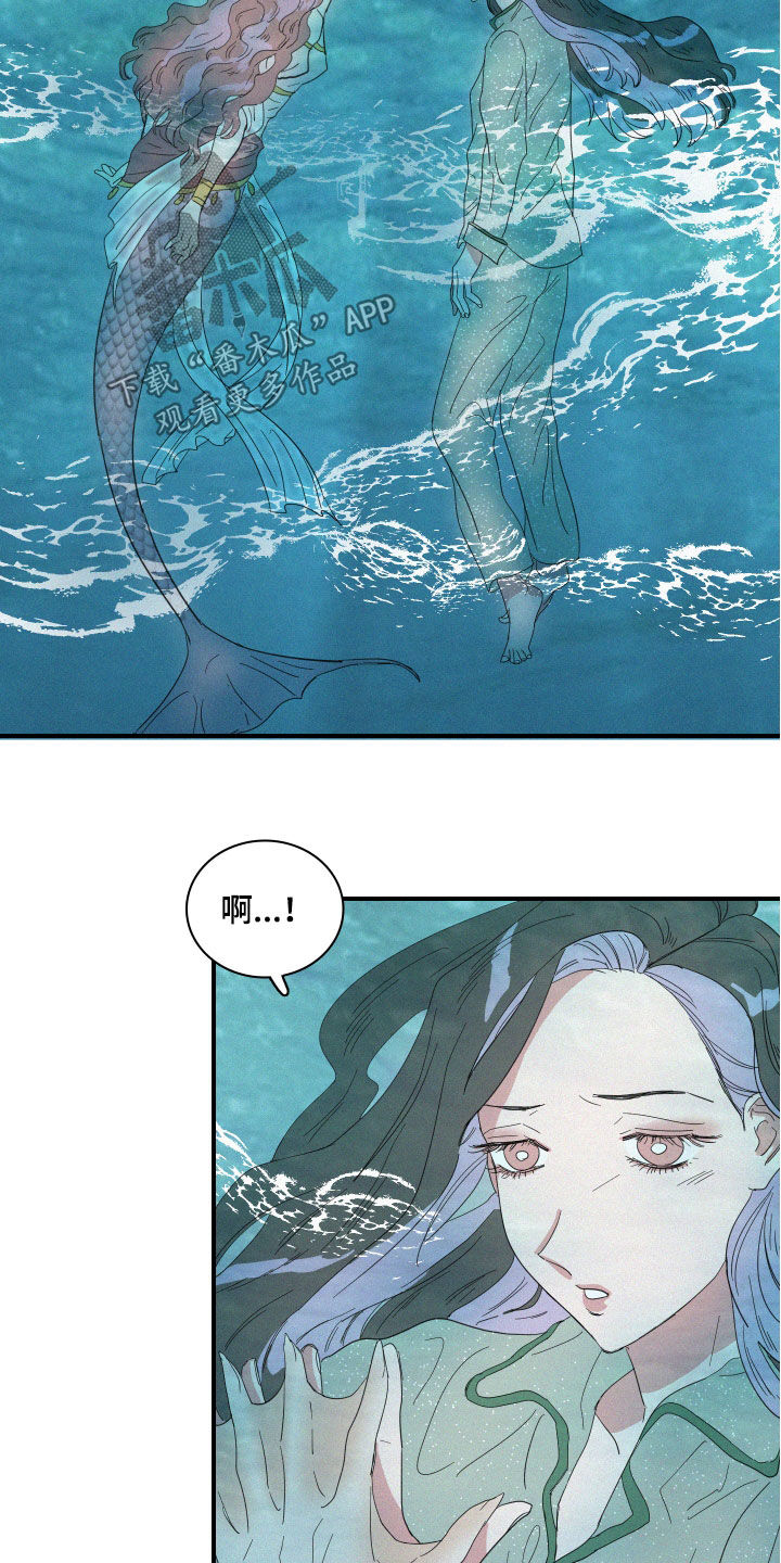 《人鱼海》第21章梦到的人鱼 第15页