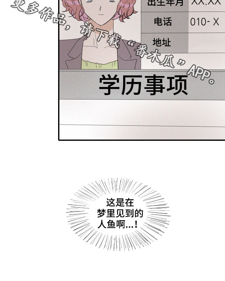 《人鱼海》第21章梦到的人鱼 第20页