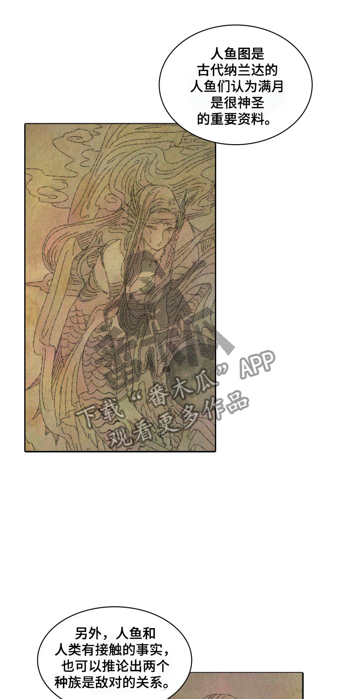 《人鱼海》第11章传言 第8页
