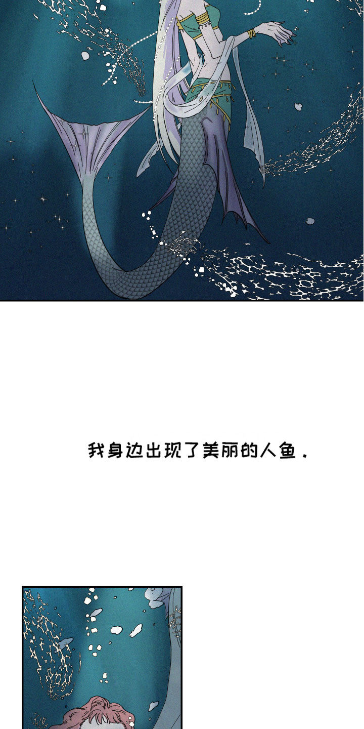 《人鱼海》第1章人鱼姐姐 第13页