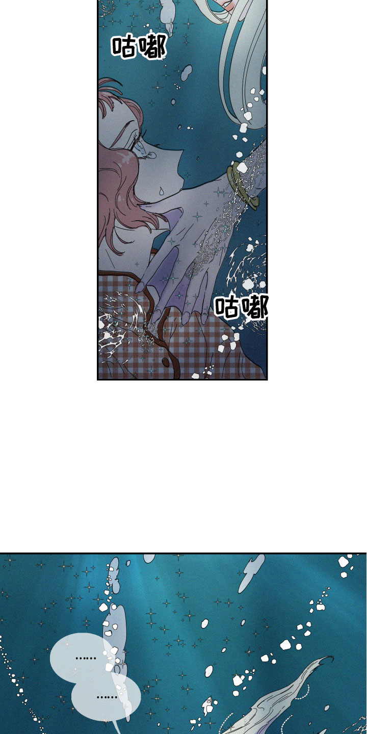 《人鱼海》第1章人鱼姐姐 第15页