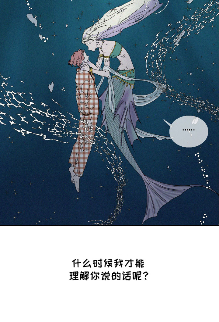 《人鱼海》第1章人鱼姐姐 第16页