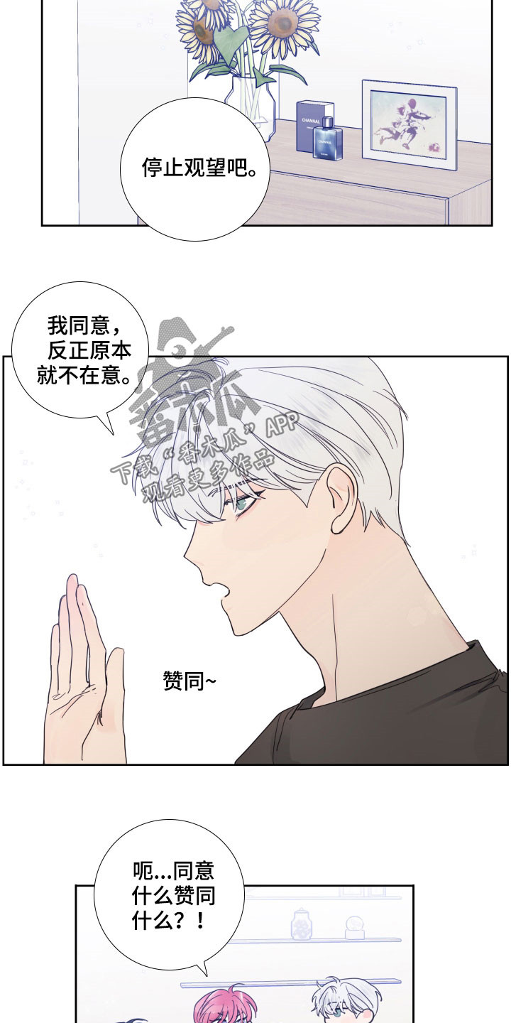 《偶像邀约》第125章【番外完结】共同交往 第11页