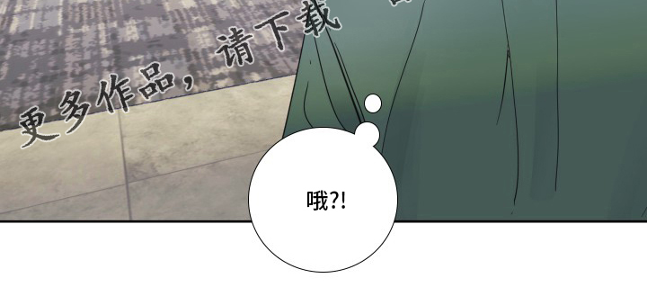 《偶像邀约》第93章【第二季】冤枉 第13页