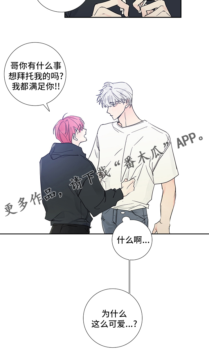 《偶像邀约》第84章【第二季】为什么这么可爱 第13页