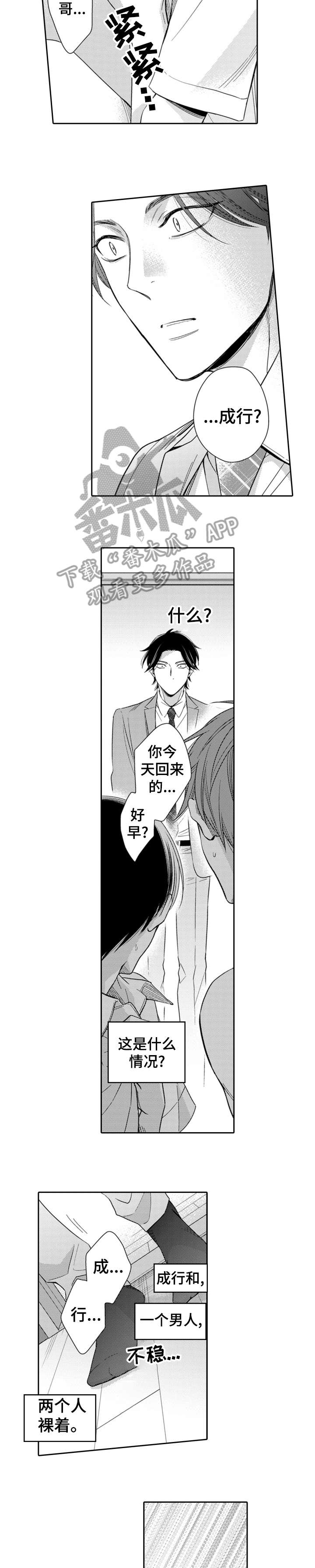 《兄长的浪漫情史》第2章装傻 第4页