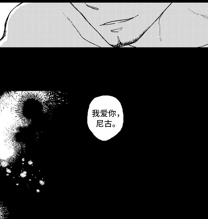 《逃避袭击》第18章猜测 第13页