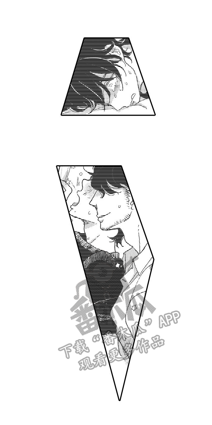 《逃避袭击》第16章无精打采 第7页