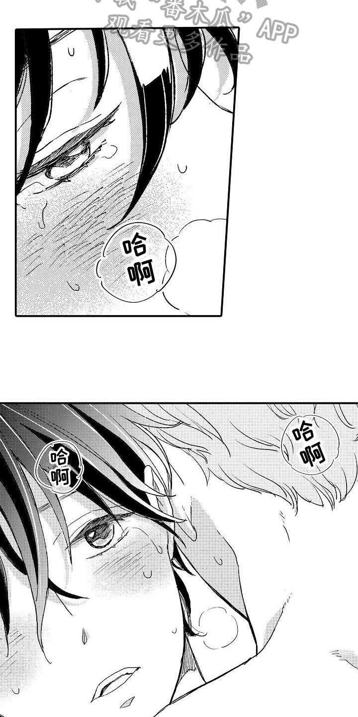《逃避袭击》第17章熟悉 第12页