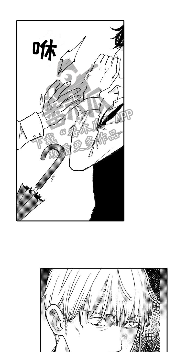 《逃避袭击》第11章麻烦 第1页